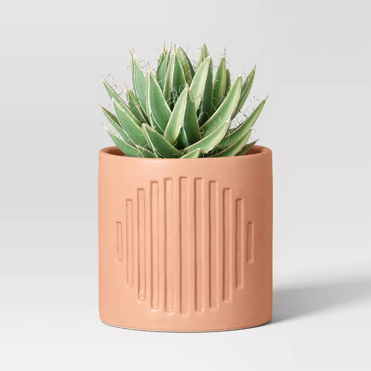 5" Wide Ribbed Geometric Outdoor Stoneware Planter Pot Berry Red - Threshold™ | Target
