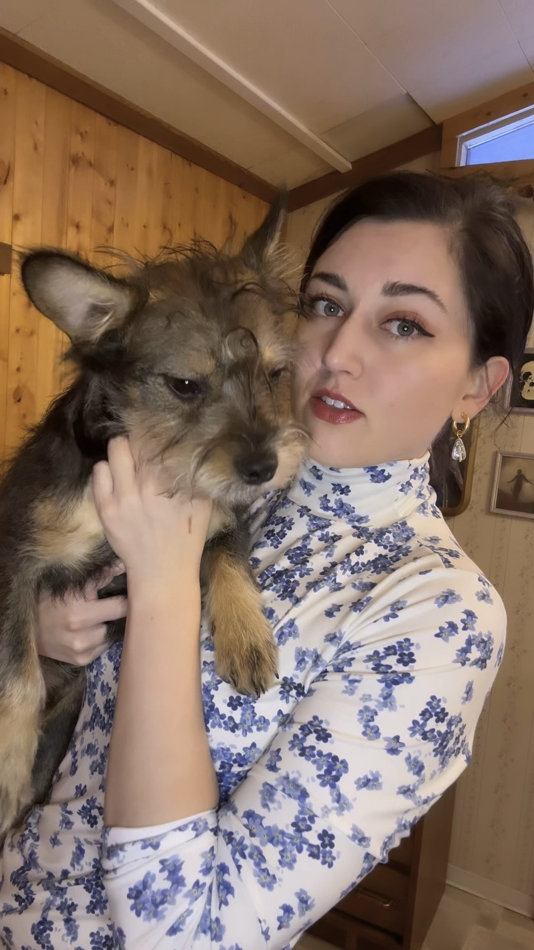 Just an update on how little bit did the first time I left him and linking this turtleneck from Anthropologie. Anything that has forget me nots on it you better believe imma get! Earrings are from years ago Madewell, linking similar ! 

#LTKSeasonal #LTKSpringSale #LTKMostLoved