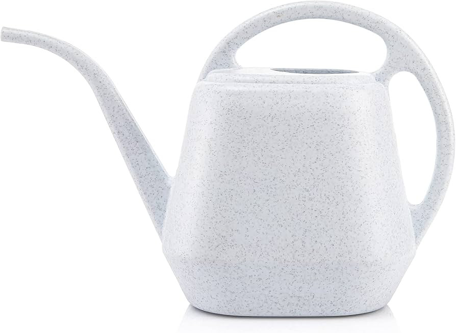 Fasmov Plastic Watering Can, 1-Gallon | Amazon (US)