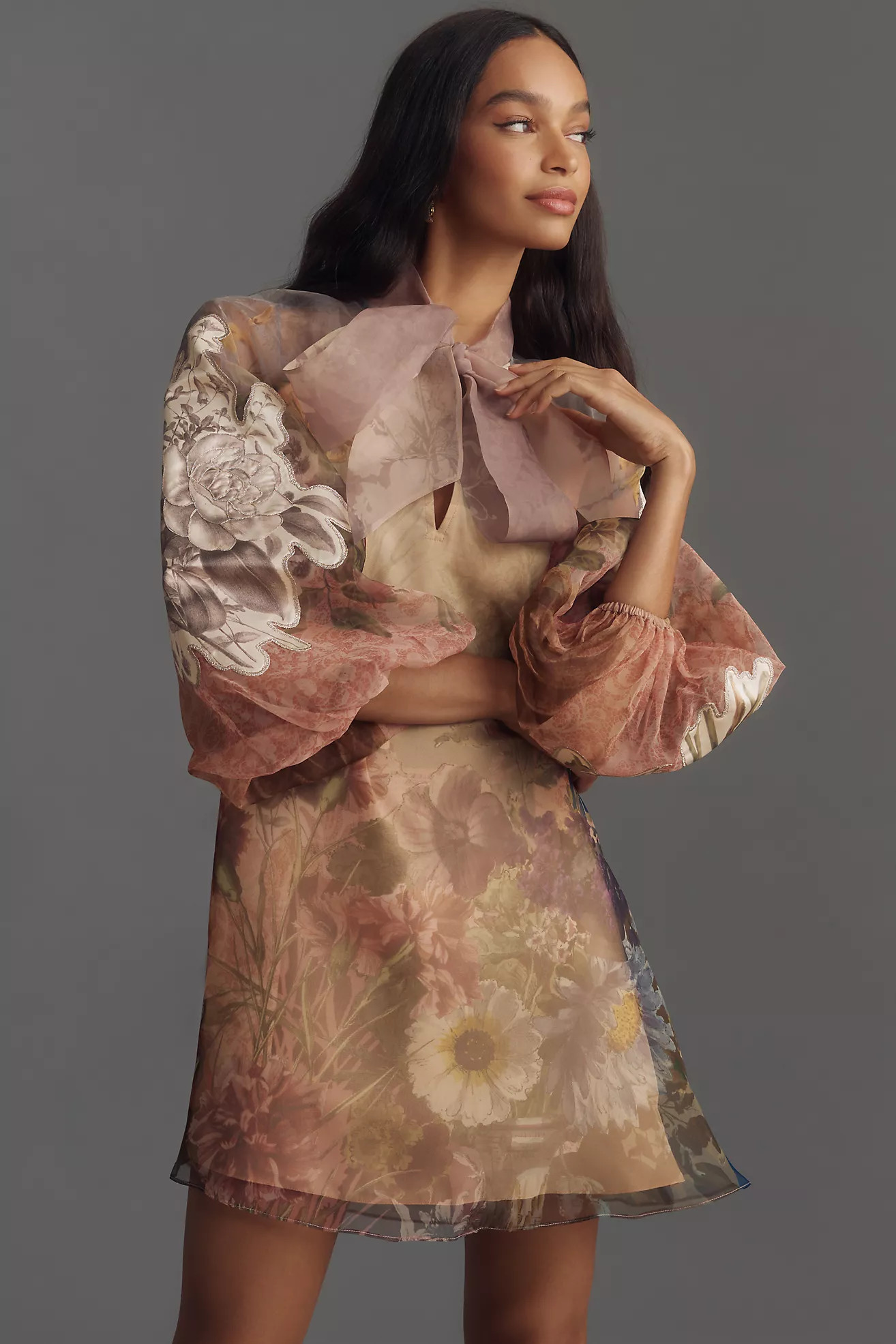 Pankaj & Nidhi Long-Sleeve Printed Organza Mini Dress | Anthropologie (US)