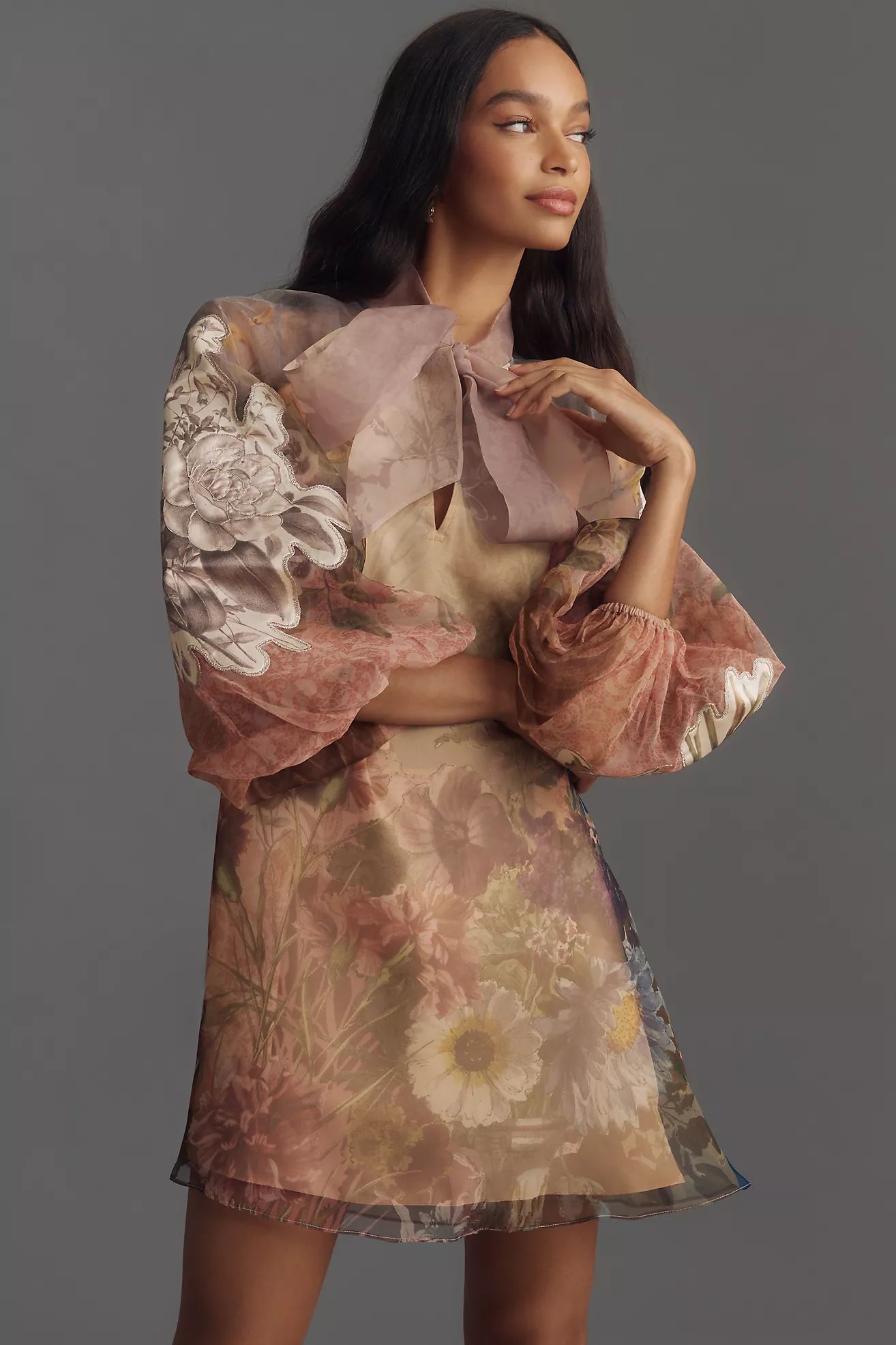Pankaj & Nidhi Long-Sleeve Printed Organza Mini Dress | Anthropologie (US)