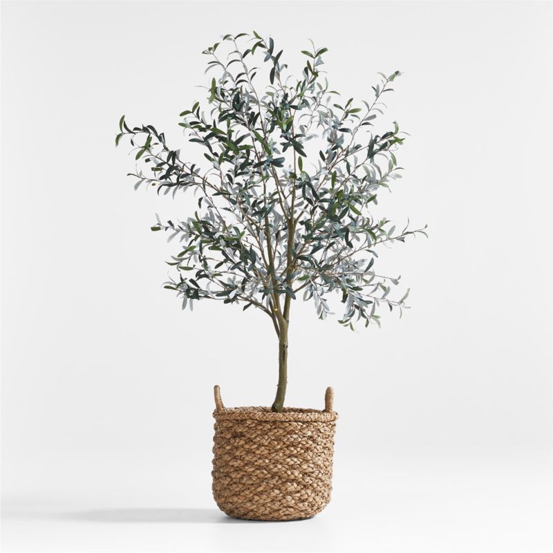 Emlyn Basket & Faux Olive Tree 7' Arrangement | Crate & Barrel | Crate & Barrel