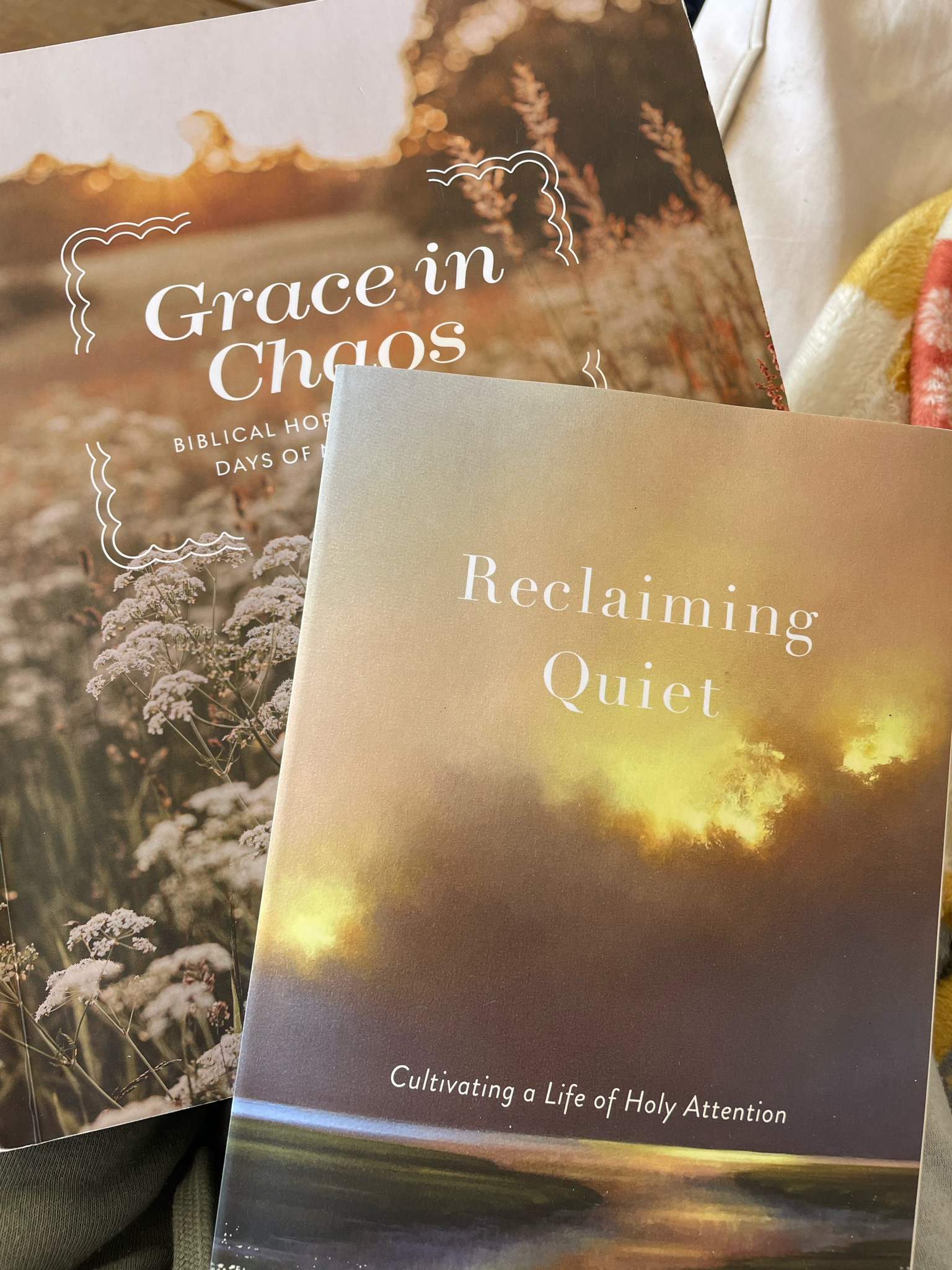 Two books that make great gifts for the moms in your life — a friend, your mom, yourself. 

Use code AYSSA10 for 10% off Daily Grace Co.

Books for women | motherhood | devotional | Gifts for her

#LTKGiftGuide #LTKSaleAlert #LTKCyberWeek