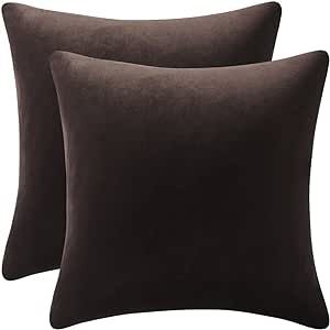 DEZENE Decorative Pillow Cases 22x22 Chocolate Brown: 2 Pack Cozy Soft Velvet Square Throw Pillow... | Amazon (US)