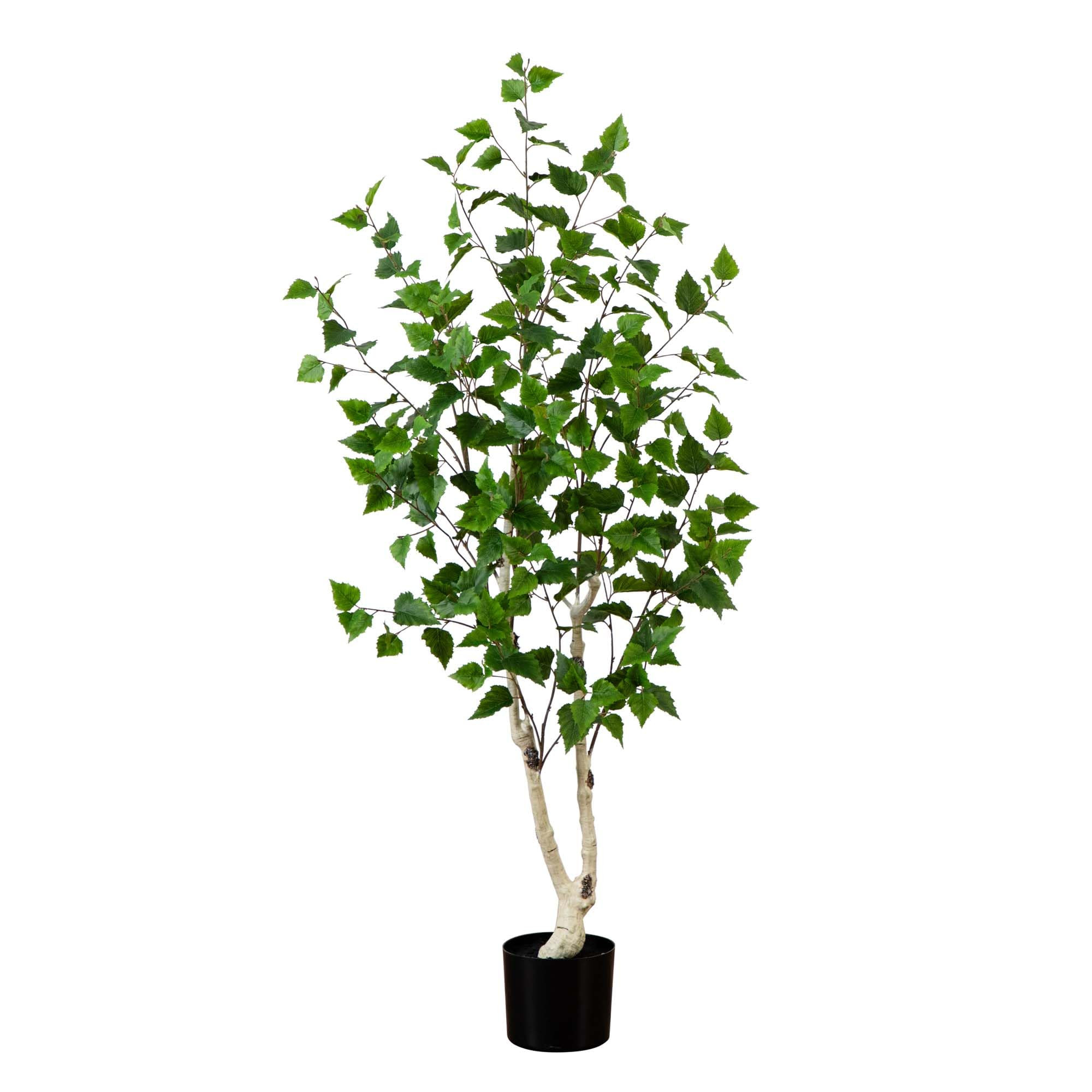 Nearly Natural 5ft. Artificial Birch Tree with Real Touch Leaves | Amazon (US)