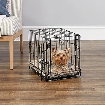 Midwest Homes for Pets Newly Enhanced Single & Double Door iCrate Dog Crate, Includes Leak-Proof ... | Amazon (US)