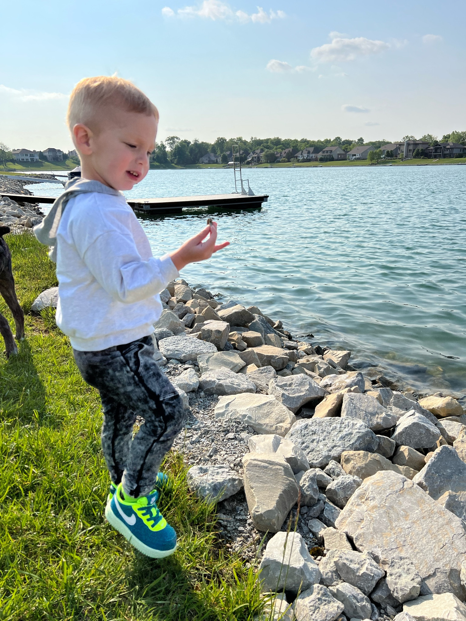 Toddler shoes. Boy shoes. Nike 

#LTKkids #LTKbaby #LTKshoecrush