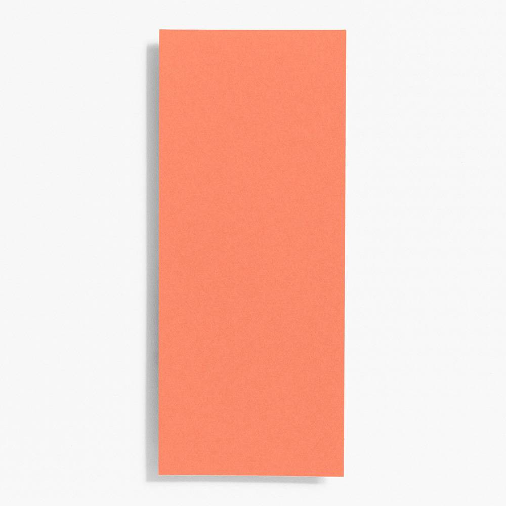 #10 Papaya Note Cards | Paper Source | Paper Source