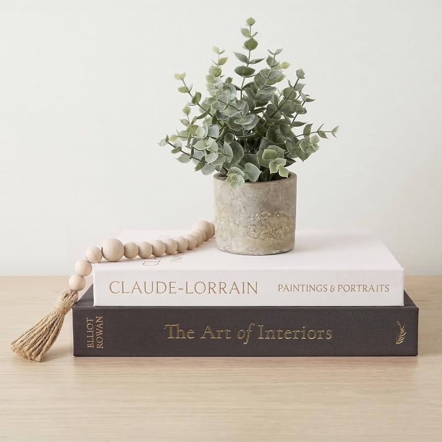 Vine Creations Decorative Books - Set of 2 Linen Hardcover Boxes with Storage - Aesthetic Fake Bo... | Amazon (US)