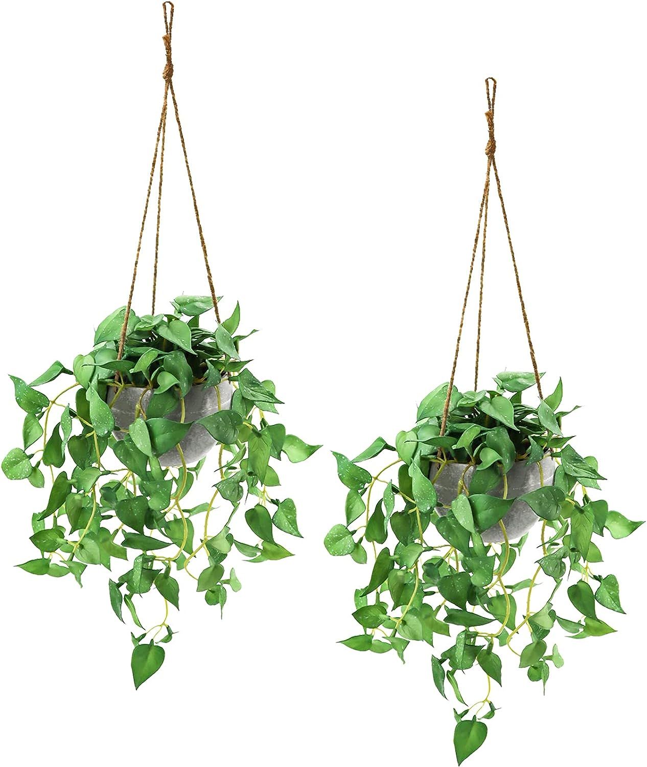 TNNTOPELE Hanging Plant Fake Hanging Plants with Pots, 2 Pack Artificial Hanging Plants, Faux Ant... | Amazon (US)