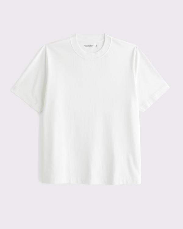 Premium Heavyweight 2.0 Tee | Abercrombie & Fitch (US)