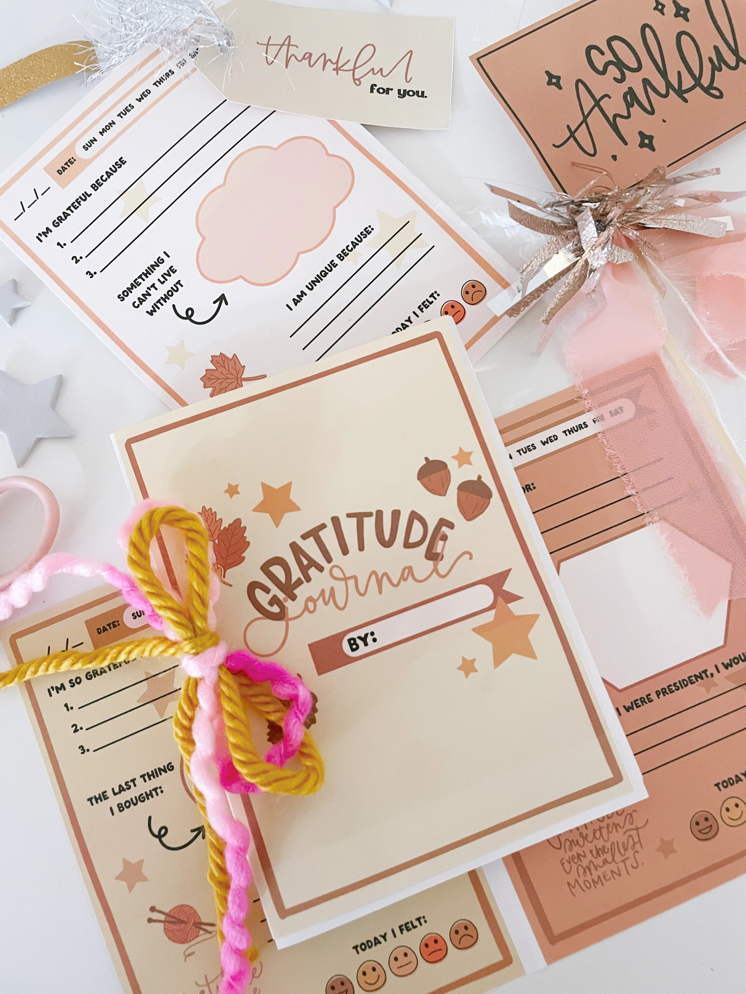 Gratitude Journal | Printable Activity | The Letter Vee