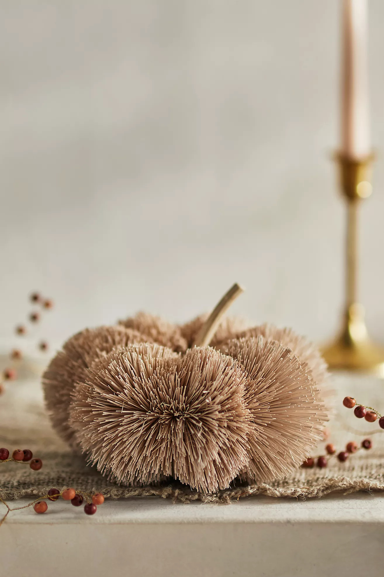 Brush Pumpkin, Large | Anthropologie (US)
