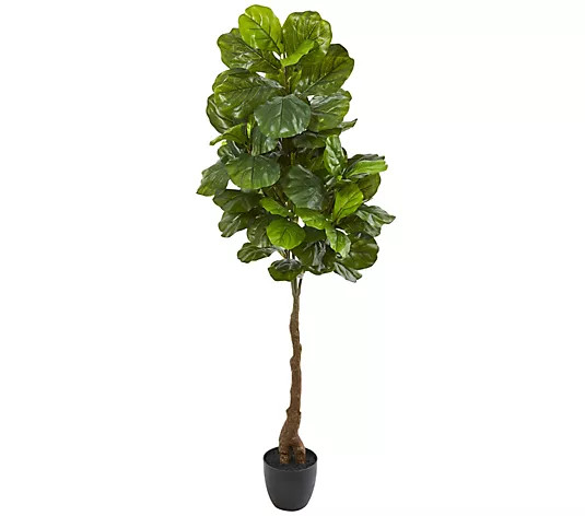 Make Your Selection: 64" Fiddle Leaf Artificial Tree by Nearly Natural | QVC