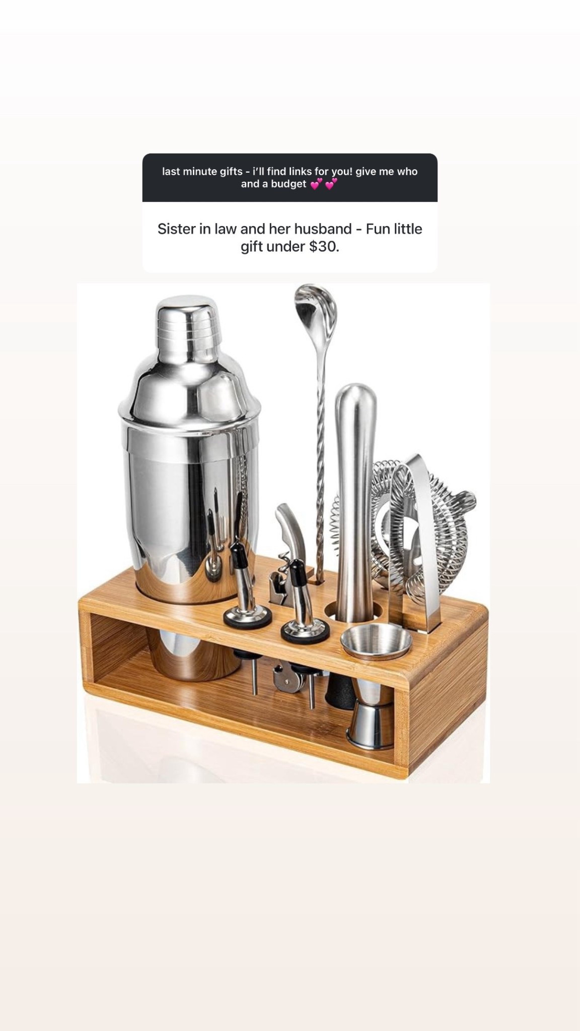 perfect fun gift under $30

#LTKHoliday #LTKGiftGuide