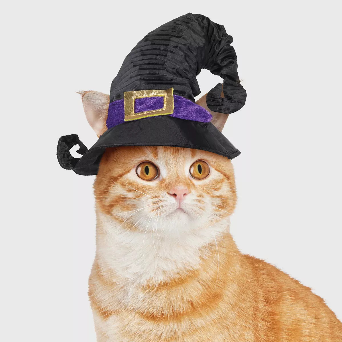 Halloween Witch Hat Cat Costume - Hyde & EEK! Boutique™ One Size Fits Most | Target