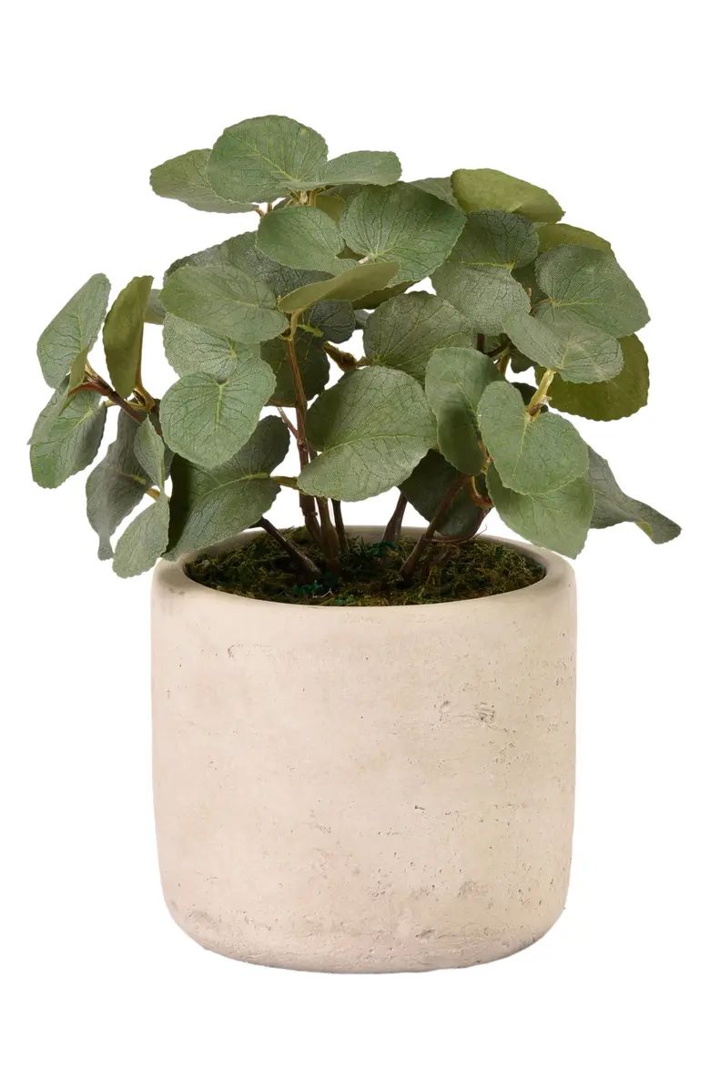 Eucalyptus Planter Decoration | Nordstrom