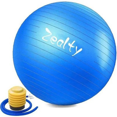 Yoga Ball Exercise Ball - Anti-Slip and Anti-Burst Workout Ball, Birthing Ball Fitness Ball w/Quick Pump, Balance Ball Chair for Stability, Pregnancy | Target