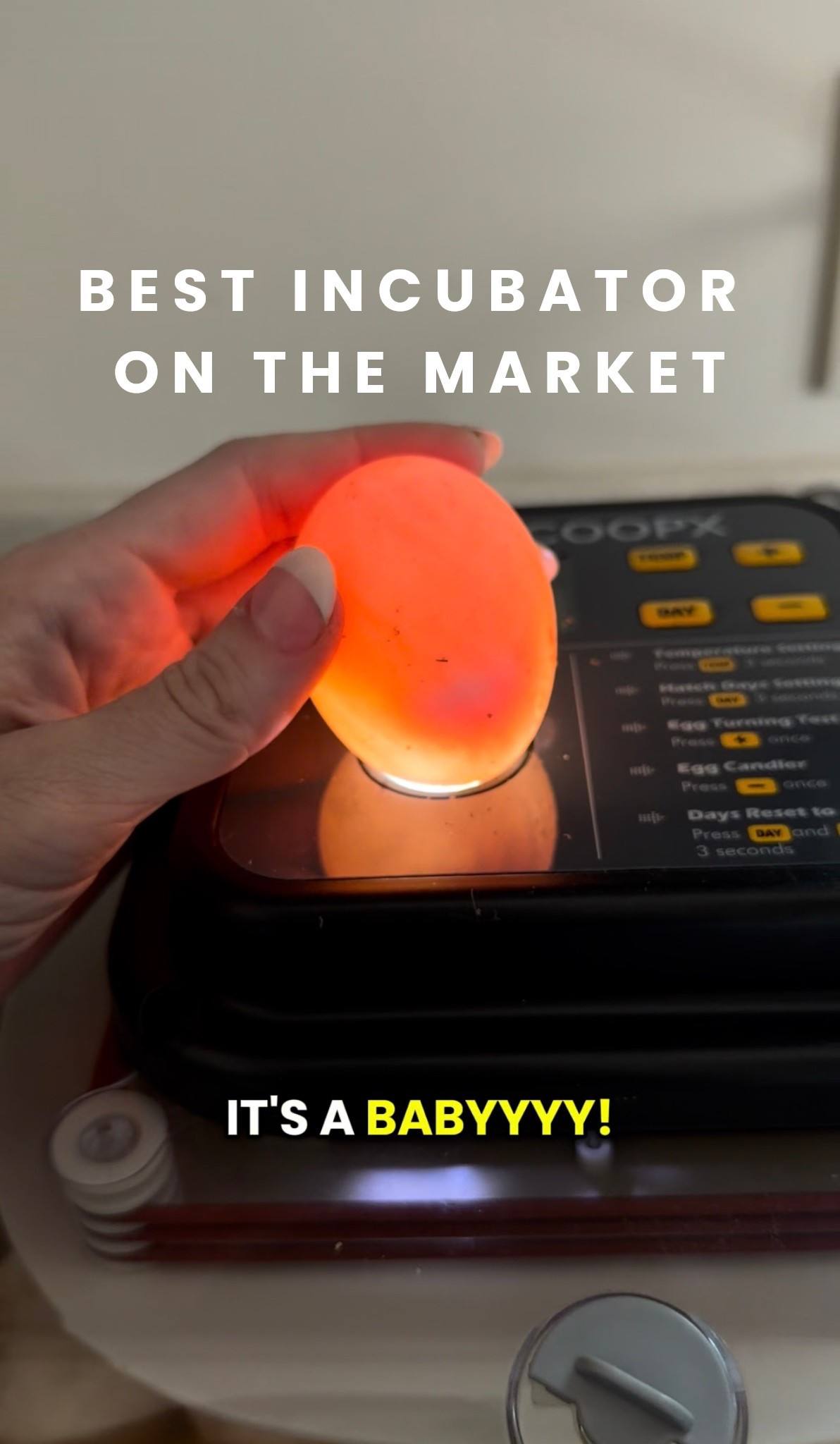 Best one hands down available on Amazon 🐣❤️