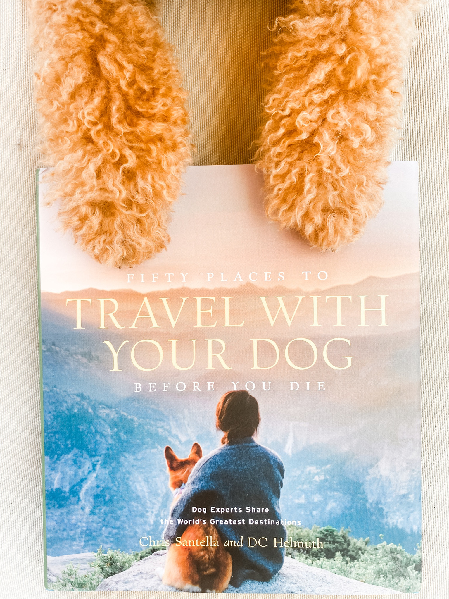 The only BOOK you need for traveling with your dog! Click to see little Remy THRIVING! #books #travel #amazon #dog