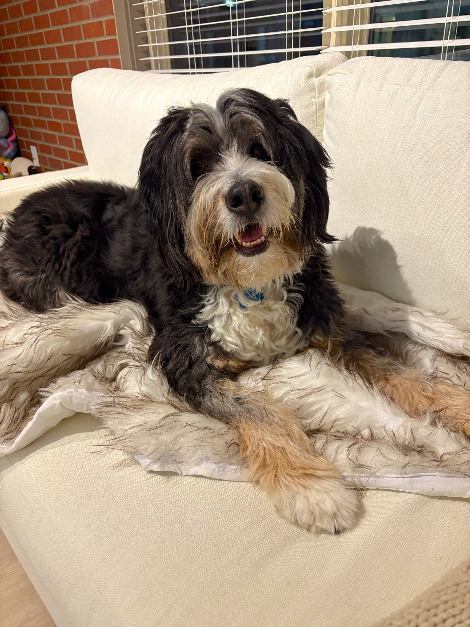 Someone likes the new couch & I love having my water proof blanket on top of it 🤪



#LTKGiftGuide #LTKHome #LTKHoliday