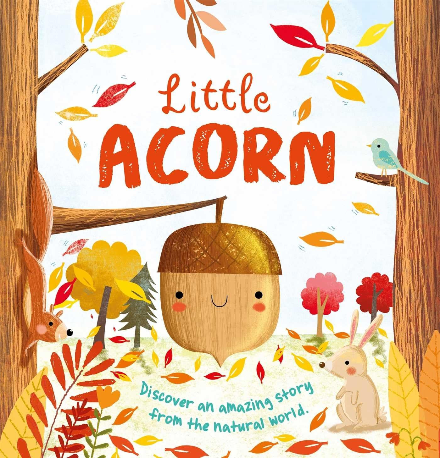 Nature Stories: Little Acorn: Padded Board Book | Amazon (US)