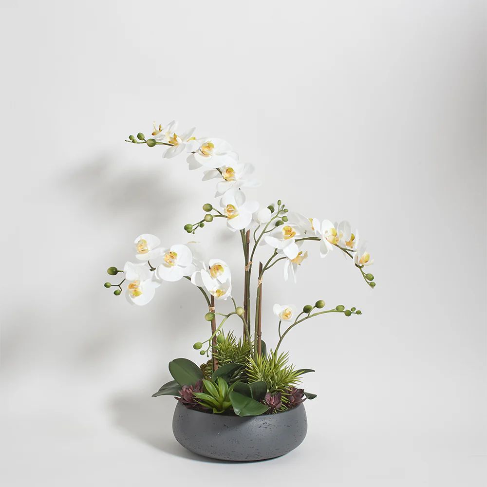 Premium Faux Orchid with Succulents | CG Hunter | Luxury Faux Plants | CG Hunter