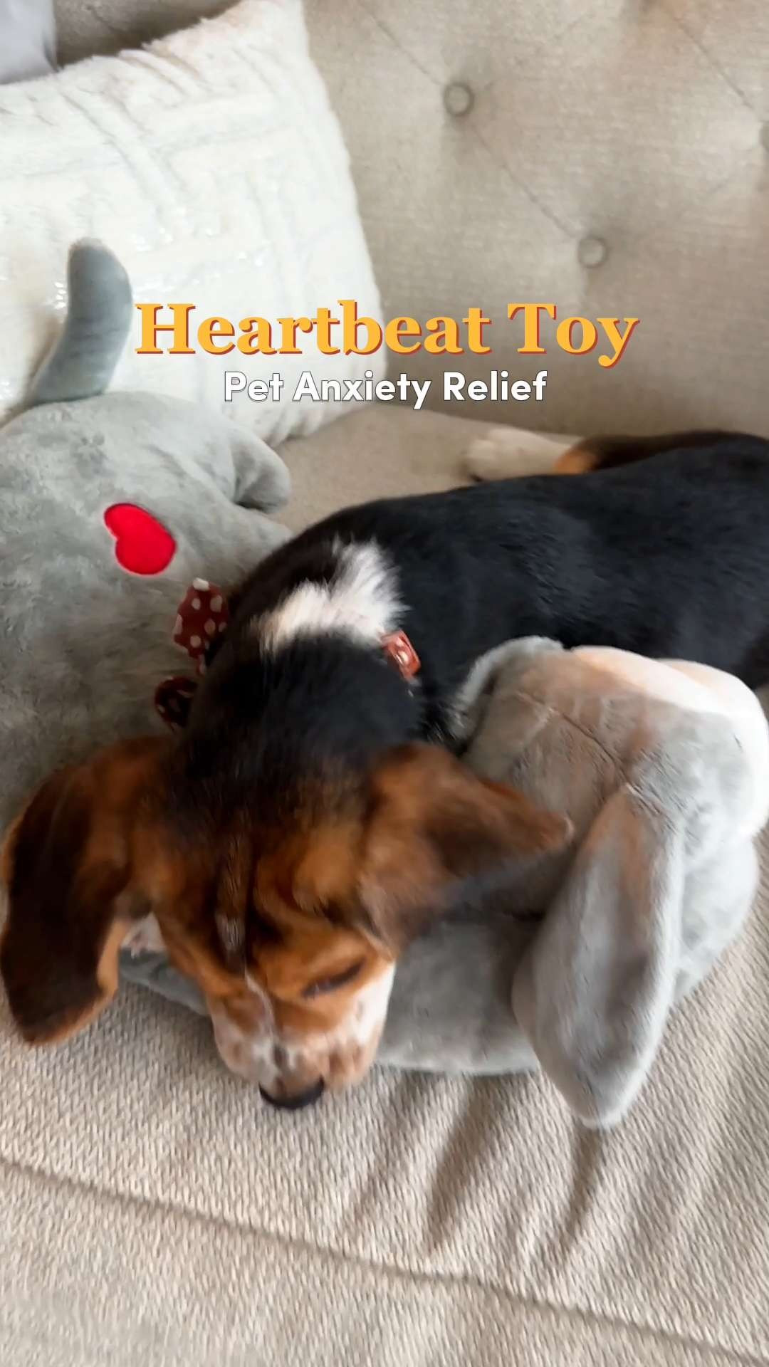 Bring instant comfort and calm to your puppy’s first nights at home! The Moropaky Heartbeat Toy is a total game-changer for anyone welcoming a new pet who might be feeling a little lonely or anxious. 🐾 The ideal product for a peaceful night's sleep, or for a friend who has a new puppy! 🐶 #Moropaky #PetWellness #PuppyEssentials #DogAnxiety #HeartbeatToy #DogTrainingTips  

#LTKHome