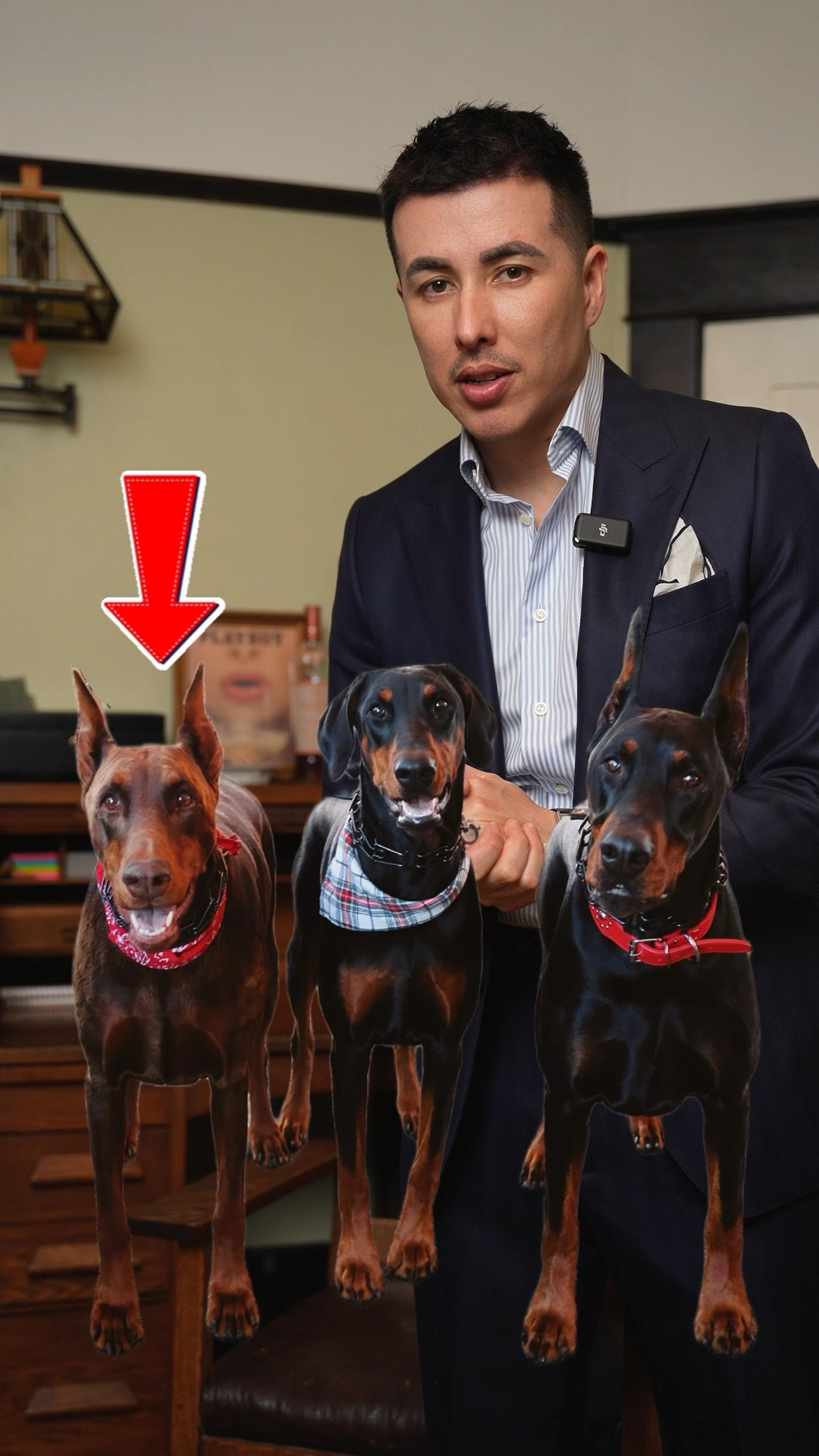 My current fave Fragrances  

#LTKSeasonal #LTKMens #LTKBeauty