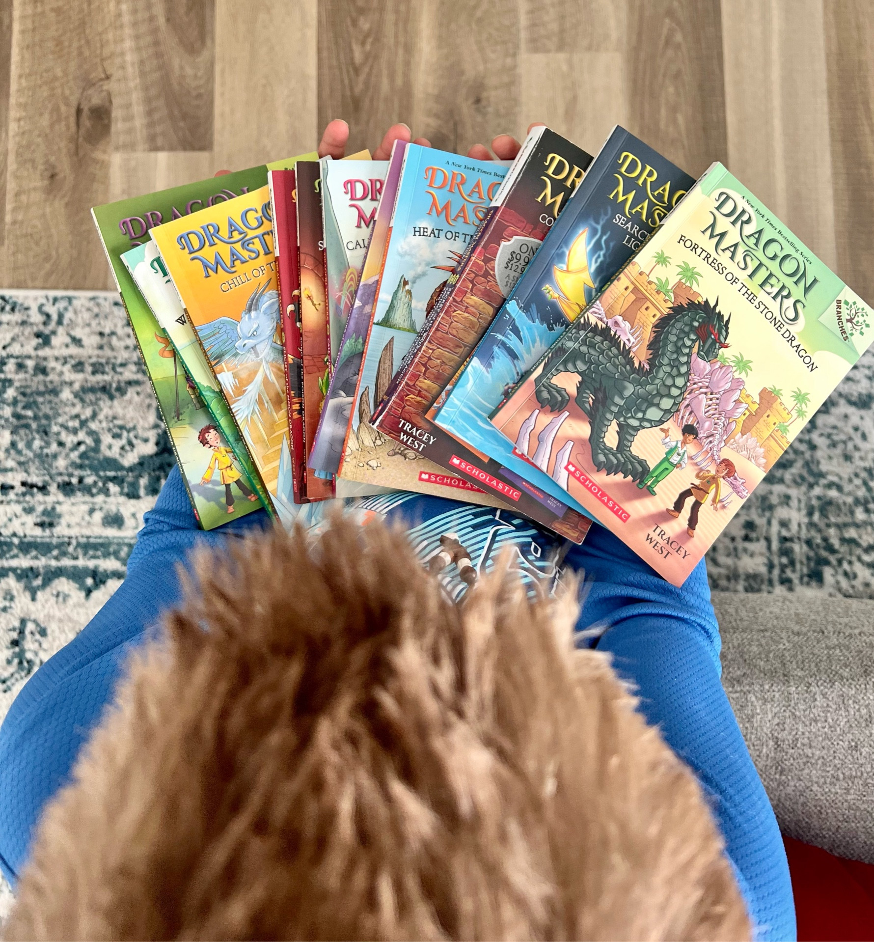 Dragon Masters, an easy book series for young kids on sale today at Target. My second grader loves them. Spend $20 and get $5 off. 

#LTKfamily #LTKGiftGuide #LTKHoliday