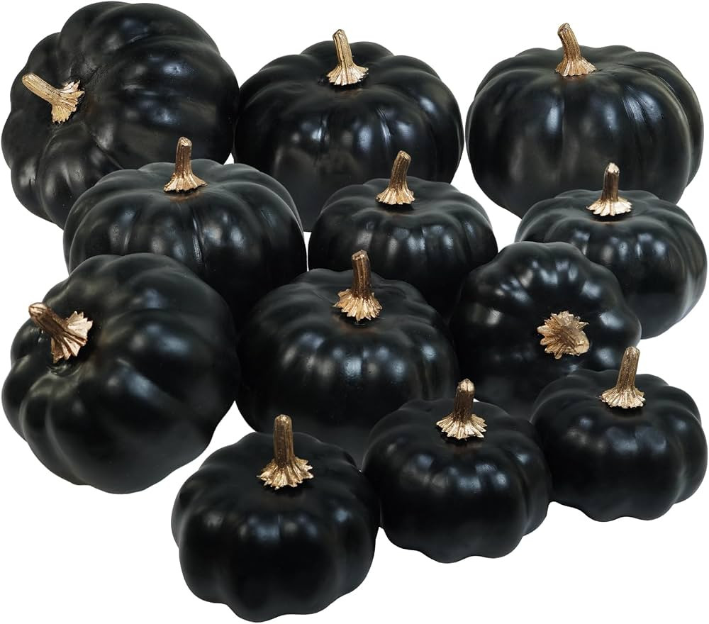 Winlyn 12 Pcs Assorted Artificial Black Pumpkins Small Fall Halloween Decorative Pumpkins Faux Fo... | Amazon (US)
