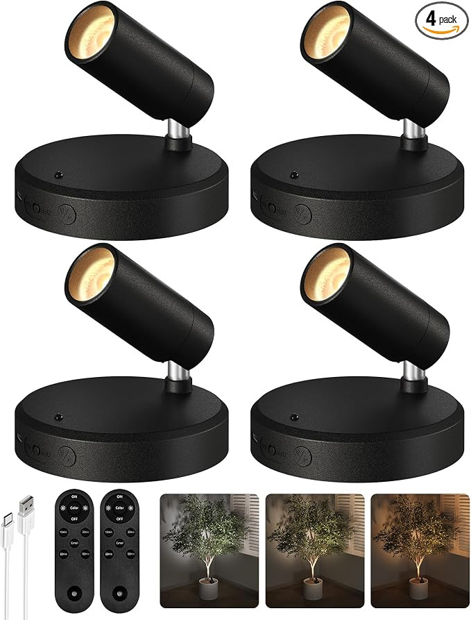 EZVALO Spotlights Indoor with Remote,5500mAh Rechargeable Picture Lights, Wireless LED Uplighting... | Amazon (US)