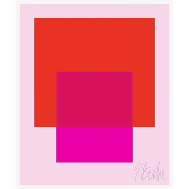 The Interaction of Red and Deep Hot Pink on Light Pink Fine Art Print 40" X 50" by Liz Roache