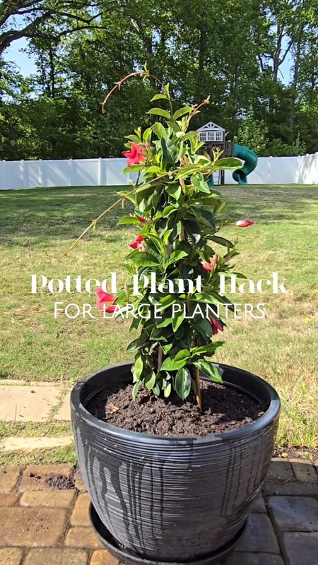Potted plant hack🌿🪴🌱🪴I'm planting annuals, Mandevilla to be exact,  so I'm not concerned with the boxes decomposing before the end of the season.  They won't survive my zone 8a winter anyway.  According to Google, you can also use upside down nursey planters,  plastic bottles,  pool noodles, Mulch, or packing materials. Did I miss one?  Last year, I used a bag and some change of soil to fill the same planters on my front porch. This year, I used about half a bag. I would say that's that's a win! Have you tried this hack? Was it successful? Yay or Nay?. I love planters, but I did have to drill drainage holes🤍🪴

#LTKhome #LTKsalealert #LTKover40