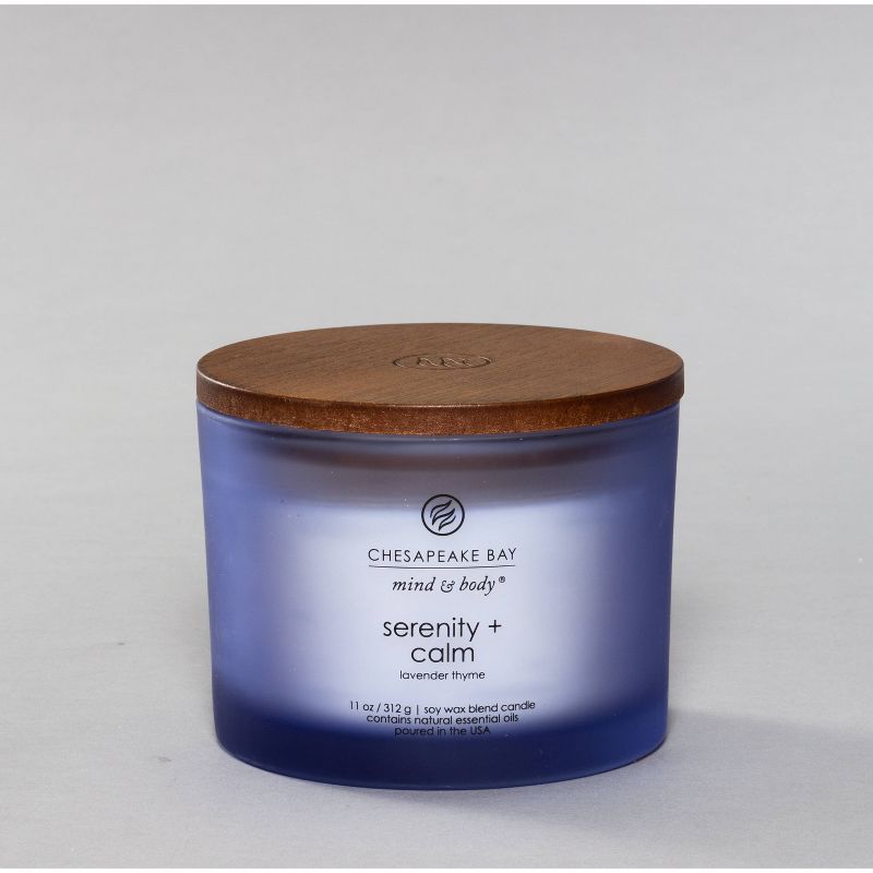 Jar Candle Serenity and Calm - Chesapeake Bay Candle | Target