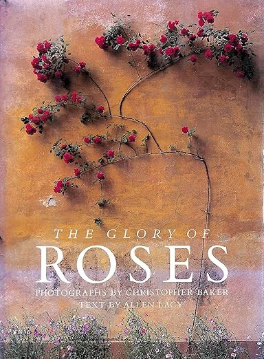 The Glory of Roses | Amazon (US)