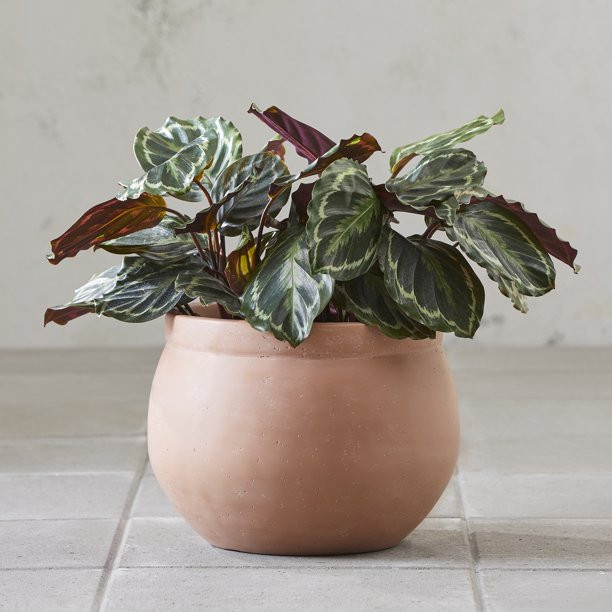 Better Homes & Gardens 16.7” x 16.7” x 12.8” Talcott Terracotta Resin Planter | Walmart (US)