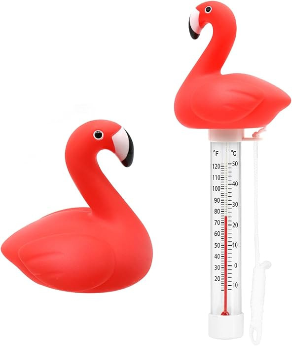 XY-WQ Floating Pool Thermometer, Large Size Easy Read for Water Temperature with String - Swimmin... | Amazon (US)
