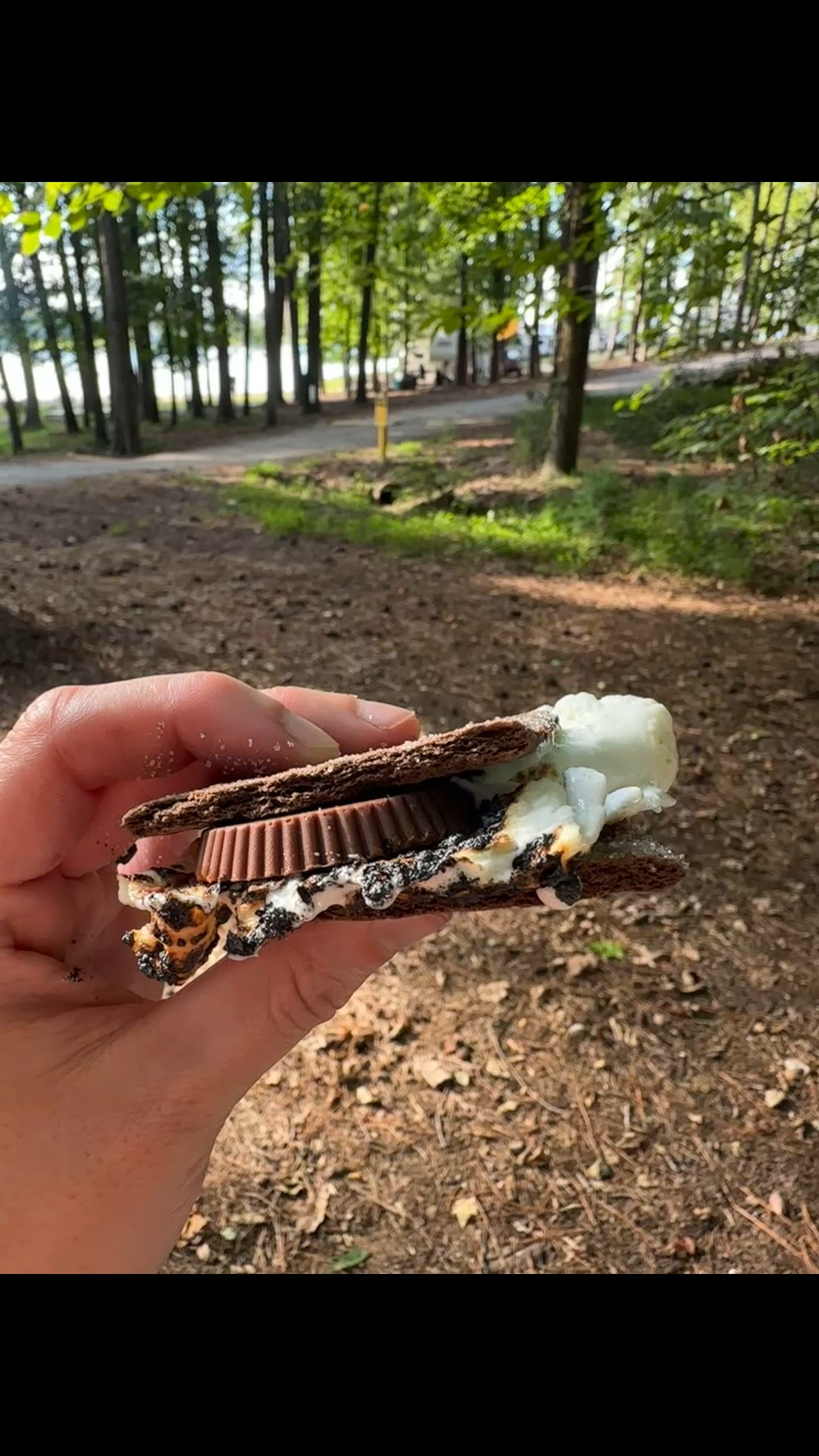 CHOCOLATE PEANUT BUTTER S’MORES 

if you haven’t tried these, it is a must! So delicious. 

Chocolate graham crackers + jumbo marshmallow+ thin Reese’s 

#LTKKids #LTKTravel #LTKFamily