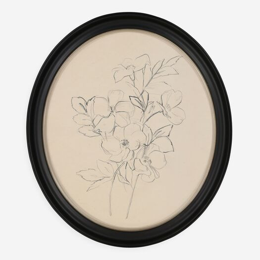 Line Drawn Florals Oval Wall Art 39x34cm | TK Maxx
