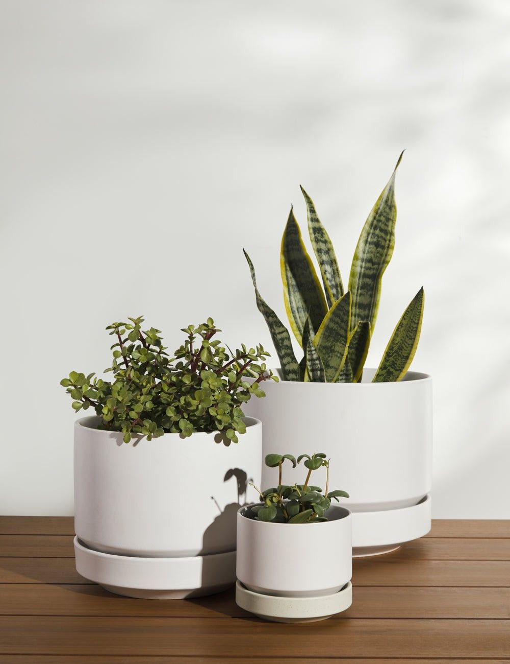 Design Ceramic Planter, Decorative Planter, Planters, Indoor Planter, Outdoor Planter, Home Decor | Lulu and Georgia 