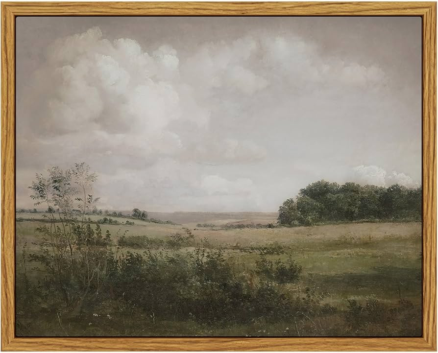 Vintage Landscape Framed Wall Art, Nature Wilderness Scenery Paintings Decor Aesthetic, Canvas Pr... | Amazon (US)