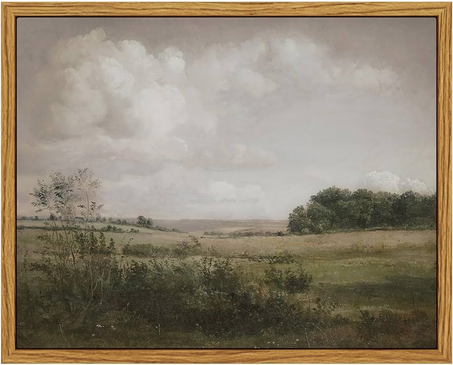 Vintage Landscape Framed Wall Art, Nature Wilderness Scenery Paintings Decor Aesthetic, Canvas Pr... | Amazon (US)