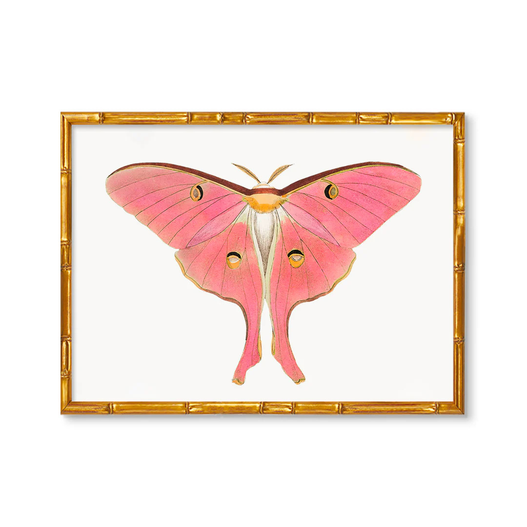 Summer Breeze Butterfly | Urban Garden Prints