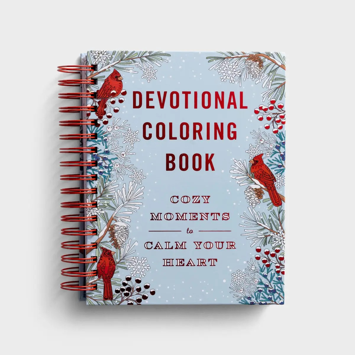 Cozy Moments Christmas Devotional Coloring Book  | DaySpring | DaySpring