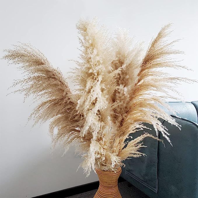 48" (4 FT) Length Pampas Grass 3 Stems - Tall Large Natural Dried Pampas for Flower Arrangements ... | Amazon (US)