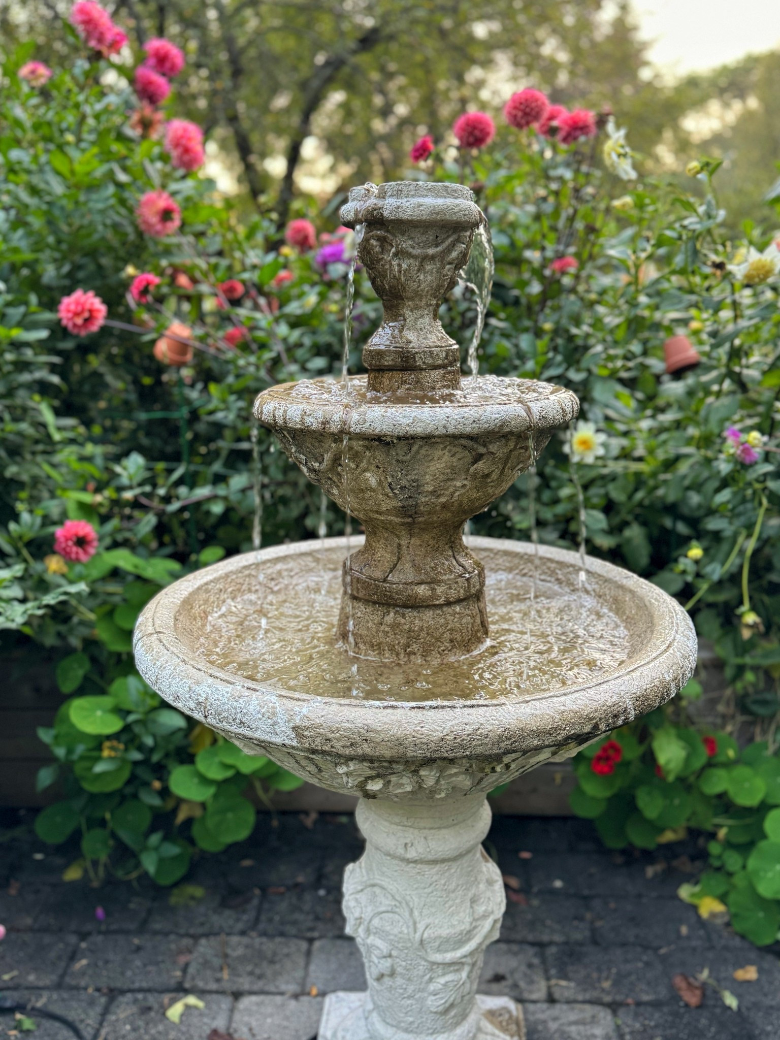 Fountain ideas for your home garden

#LTKSaleAlert #LTKHome