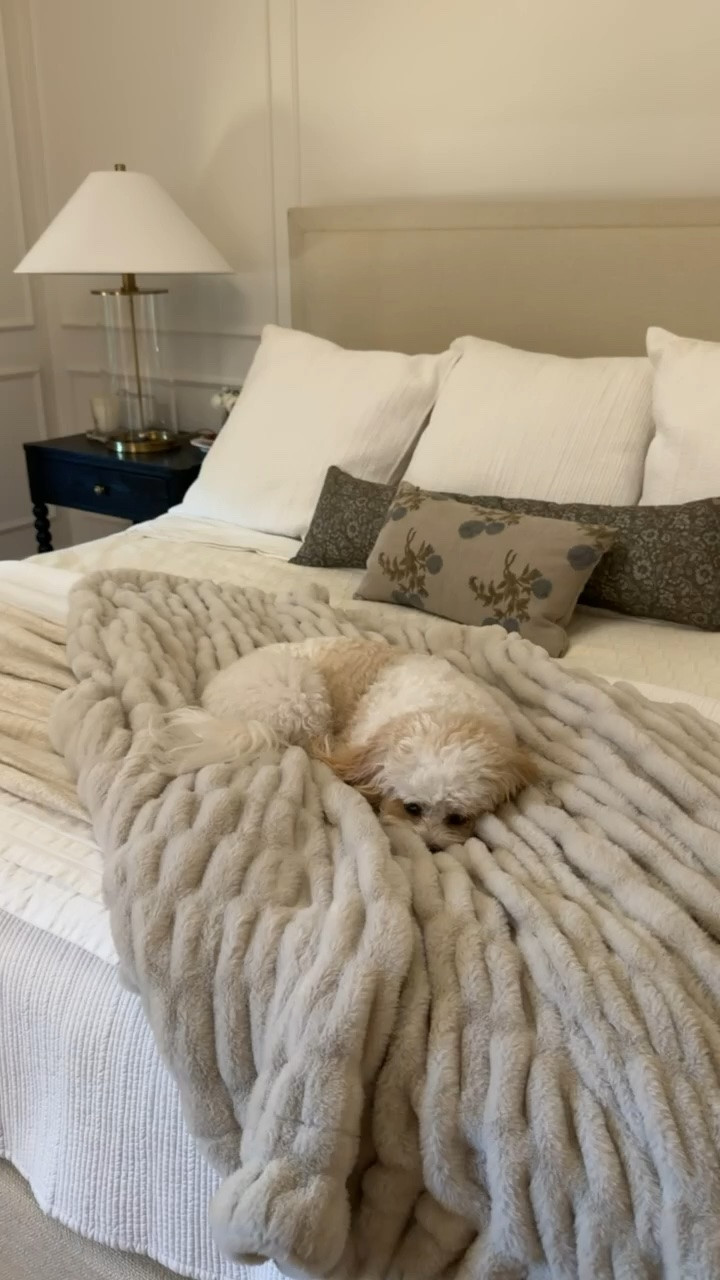 This blanket is just different. So incredibly soft, cozy, and Daisy clearly agrees.

HERFASHIONEDLIFE35 is now active for 35% off and will never expire!!

#LTKSeasonal #LTKHome #LTKdayinmylife