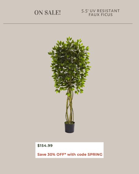 On sale! 5.5 foot faux ficus tree

#LTKSeasonal #LTKsalealert #LTKstyletip