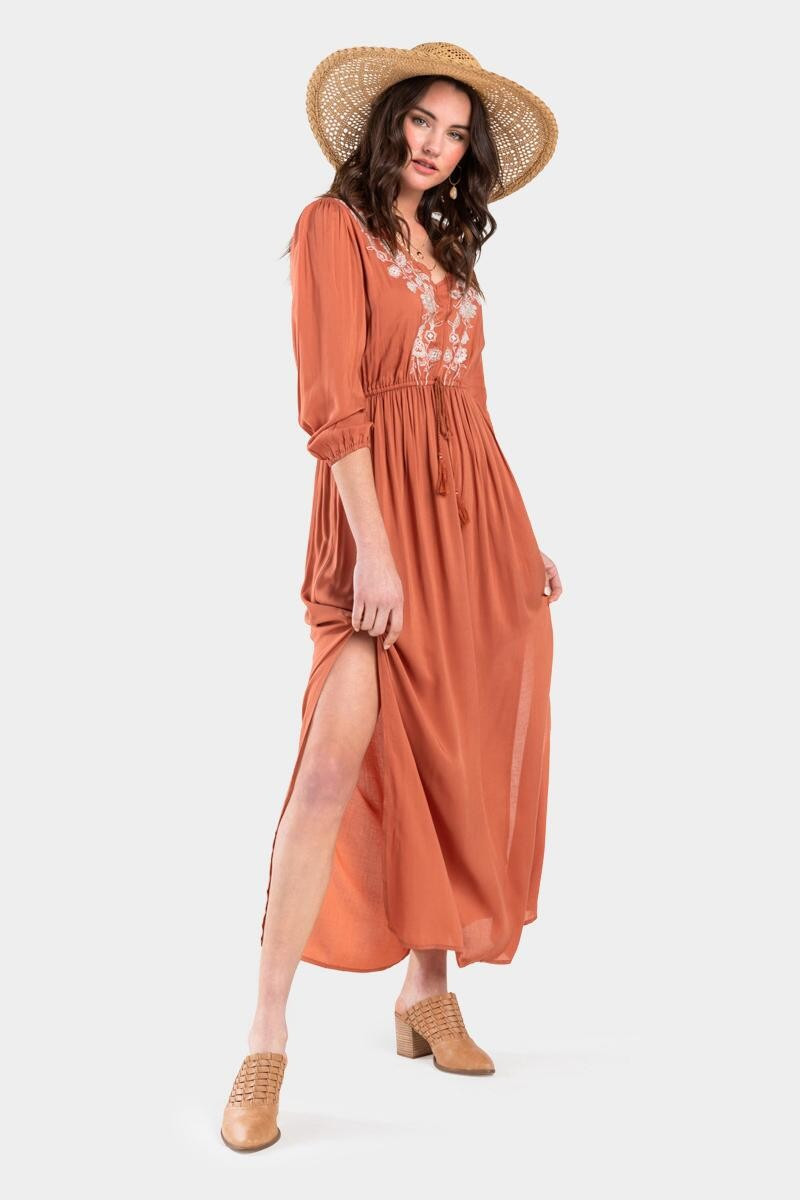 Xandria Embroidered Maxi Dress | Francesca’s Collections